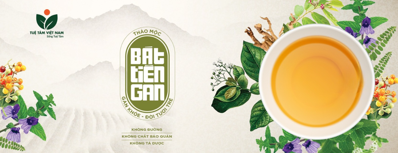 CÔNG TY TNHH ĐẦU TƯ TUỆ TÂM VIỆT NAM