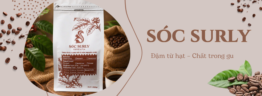 Sóc Surly