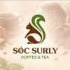 Sóc Surly