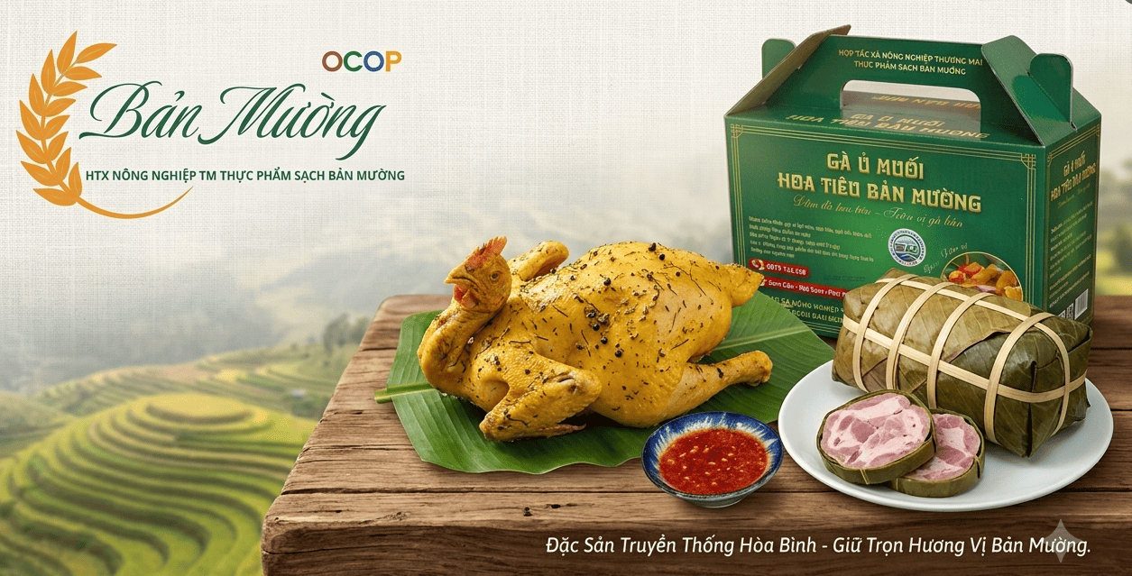 HTX NN TM TP SẠCH BẢN MƯỜNG