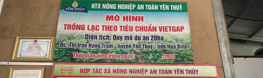 HTX Nông nghiệp an toàn Yên Thủy