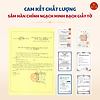 Hồng Sâm Củ Khô Hàn Quốc Premium 300g – 10 Củ Special, 31-50 củ DKG, Hồng Sâm 6 Năm Tuổi