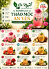 KOMBUCHA NHẬT QUANG HỒNG – TỪ GẤC & CHANH DÂY THẢO MỘC AN YÊN
