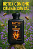 Dầu Gội Detox Bee Chuyên Dụng Cho Tóc Nhiều Gàu, Nấm – Chuẩn Salon
