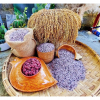 Gạo Tẻ Nương Tím Quỳnh Anh- Gạo Tẻ Nương Tím Thảo Mộc Đặc Sản Tây Bắc Dẻo Ngọt Thơm Ngon Bao 5kg