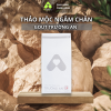 Giải pháp dành cho người bị GOUT - Liệu trình 2 tháng ANHERBAL