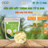 Dừa Sáp Sấy Thăng Hoa Tứ Vị VICOSAP Ít Đường 50g – Đặc Sản Cầu Kè