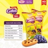 Bánh bông lan Gatos bơ nho 45g, combo ưu đãi hấp dẫn