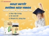 Hoạt huyết dưỡng não Vimos