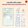 Hồng Sâm Củ Khô Hàn Quốc Premium 300g – 10 Củ Special, 31-50 củ DKG, Hồng Sâm 6 Năm Tuổi