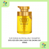 DẦU GỘI SỮA ONG CHÚA YUE ZHONG GUI