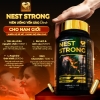 Viên uống yến sào dành cho nam Nest Strong - Ausmedic 