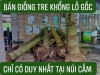 TINH HOA TRE VIỆT NAM