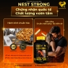 Viên uống yến sào dành cho nam Nest Strong - Ausmedic 