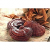 Quả thể nấm linh chi khô - 500g