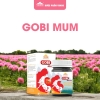 Viên uống Gobi Mum