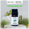 Tinh dầu Ngọc Am BEFINE 50ml