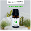 Tinh Dầu Mùi Già (Ngò Rí) BEFINE 5ml