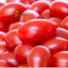 Cà Chua Cherry Đỏ Hữu Cơ