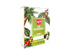 Cà phê hòa tan CT COCONUT hương dừa