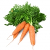 Cà Rốt Hữu Cơ