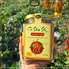 Củ Sâm Nam núi Dành sấy thái lát 100 Gr - Sâm Tổ núi Dành