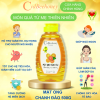 Mật Ong Chanh Đào 500g Cvdbeehoney