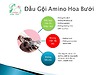 Dầu gội Amino Hoa Bưởi  Tha Von 250 ml, sạch gàu , sạch nấm tóc , làm mượt tóc
