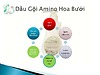 Dầu gội Amino Hoa Bưởi  Tha Von 250 ml, sạch gàu , sạch nấm tóc , làm mượt tóc