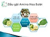 Dầu gội Amino Hoa Bưởi  Tha Von 250 ml, sạch gàu , sạch nấm tóc , làm mượt tóc