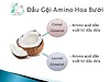 Dầu gội Amino Hoa Bưởi  Tha Von 250 ml, sạch gàu , sạch nấm tóc , làm mượt tóc