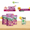1Kg Trà Tía Tô Gold Giga + Tặng 1 Gói Trà 20 Túi Lọc Rau Má Cà Gai Leo
