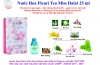 Nước Hoa Fleuri Tea 25 ml, hương Hoa , gỗ và xạ hương