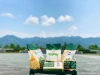 Gạo nếp hương Bảo Lạc