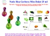 Nước Hoa Gerbera Miss Dalat  25 ml, hương Hoa ,  trái cây , gỗ , xạ hương