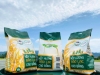 Gạo nếp hương Bảo Lạc
