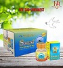 [Combo 15 lọ] Nước yến sào Khánh Hòa Sanest không đường dành cho người cao tuổi 70ml