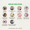 TPBVSK Viên đông trùng hạ thảo - Thiên Sư