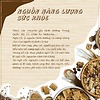 Cordy Multi Grain Bữa ăn dinh dưỡng trùng thảo vị kỷ tử - táo đỏ