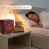  Nấm Đông Trùng Hạ Thảo Thiên Hương Phát Sấy Thăng Hoa, Tăng Đề Kháng, Quà Biếu Sang Trọng Hũ 12g