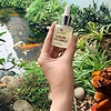 Serum Dưỡng Trắng Da Mỏng Nhẹ Thấm Nhanh Cấp Ẩm Hỗ Trợ Làm Đều Màu Da & Mờ Vùng Xỉn Màu 20g