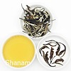 CHUM BẠCH TRÀ MÂY TÀ XÙA 1 TÔM - 2 LÁ 200G