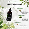 Dầu Gội Nhân Sâm & Thảo Dược sPure 250ml, Nuôi Dưỡng & Làm Chậm Quá Trình Lão Hóa, Cải Thiện Tóc Bạc, Dưỡng Nang Tóc