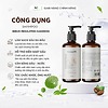 Dầu Gội Thảo Dược FerraON Chiết Xuất Cà Phê Trà Xanh Dịu Da Đầu Giảm Ngứa 250ml