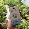 Dung Dịch Vệ Sinh trầu không, trà xanh-bioecolia 100ml