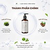 Dầu Gội Thảo Dược FerraON Chiết Xuất Cà Phê Trà Xanh Dịu Da Đầu Giảm Ngứa 250ml