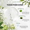 Sữa Rửa Mặt Tạo Bọt sPure 150ml - Bọt Mịn Như Mây - Trà Xanh & Acid Lactic - Làm Sạch Dịu Nhẹ, Không Khô Da