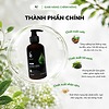 Combo Dầu Gội Xả Nhân Sâm Thảo Dược sPure 250ml, Nuôi Dưỡng & Làm Chậm Quá Trình Lão Hóa, Cải Thiện Tóc Bạc