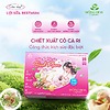 Sữa hạt lợi sữa Best Mum từ Cỏ Cà Ri và các hạt lợi sữa – Hồng Hoa Organic