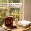 Cao Nước Đông Trùng Hạ Thảo Thiên Hương Phát Chuẩn Nhật, Dưỡng Chất Tự Nhiên Hộp 10 Ống (100ml)